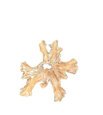 Handcrafted reclaimed teak root wall decoration for luxury organic interior design.