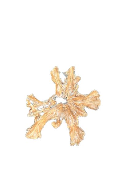 Handcrafted reclaimed teak root wall decoration for luxury organic interior design.