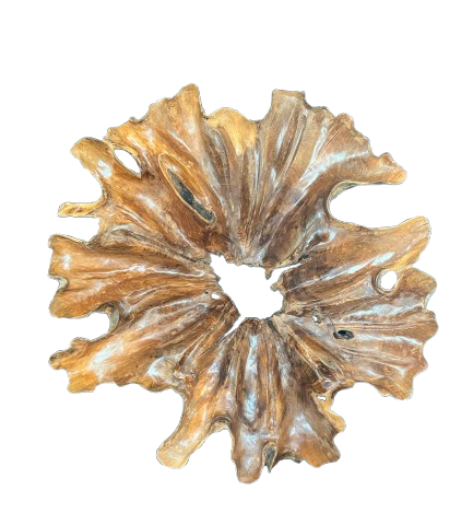 Handcrafted reclaimed teak root wall decoration for luxury organic interior design.