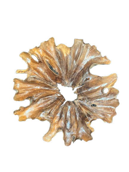 Handcrafted reclaimed teak root wall decoration for luxury organic interior design.