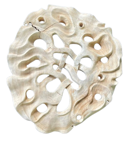 Luxury organic teak root wall art with natural center hole